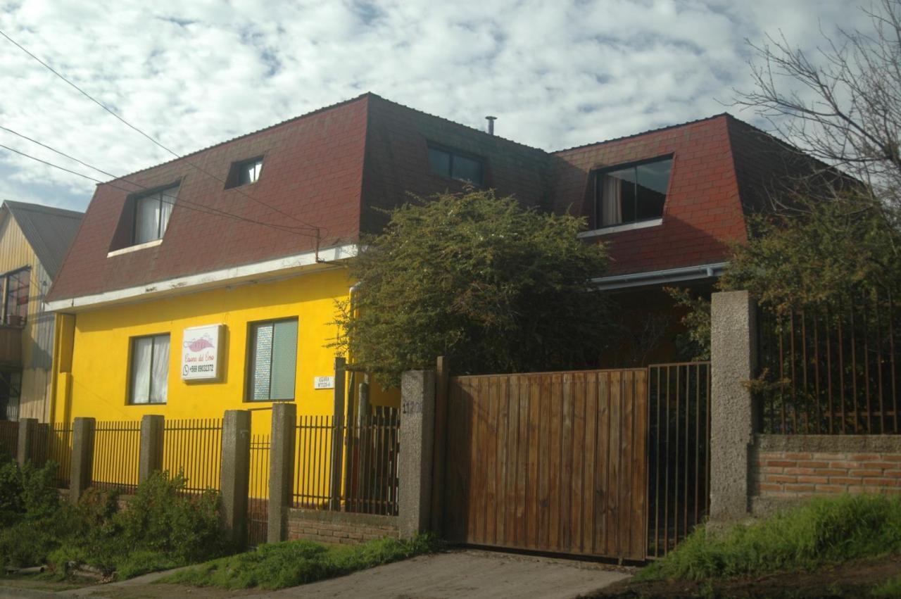Hostal Casona Del Cerro Constitución エクステリア 写真